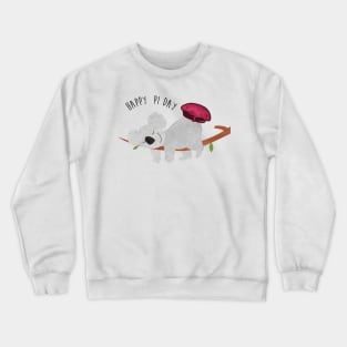 A nice Pie Dream for Mr Koala - Pi Day Crewneck Sweatshirt